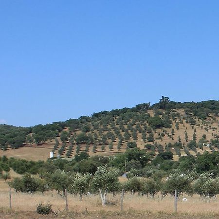 Girassol Alojamento Local مونتمور - أو - نوفو المظهر الخارجي الصورة
