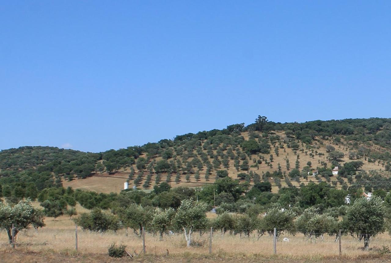 Girassol Alojamento Local مونتمور - أو - نوفو المظهر الخارجي الصورة